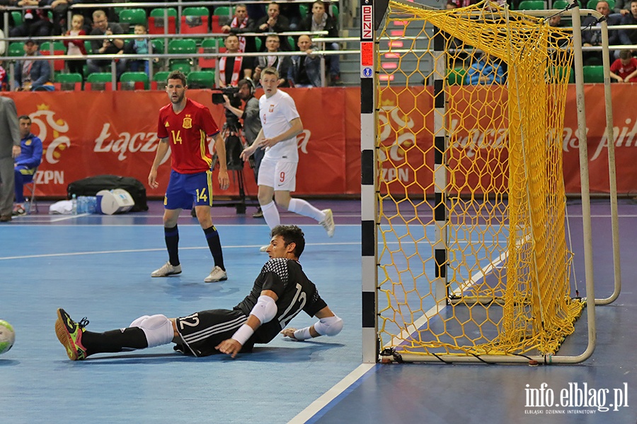 Futsal mecz Polska- Hiszpania i Serbia-Moldawia, fot. 28