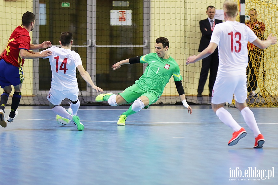 Futsal mecz Polska- Hiszpania i Serbia-Moldawia, fot. 45