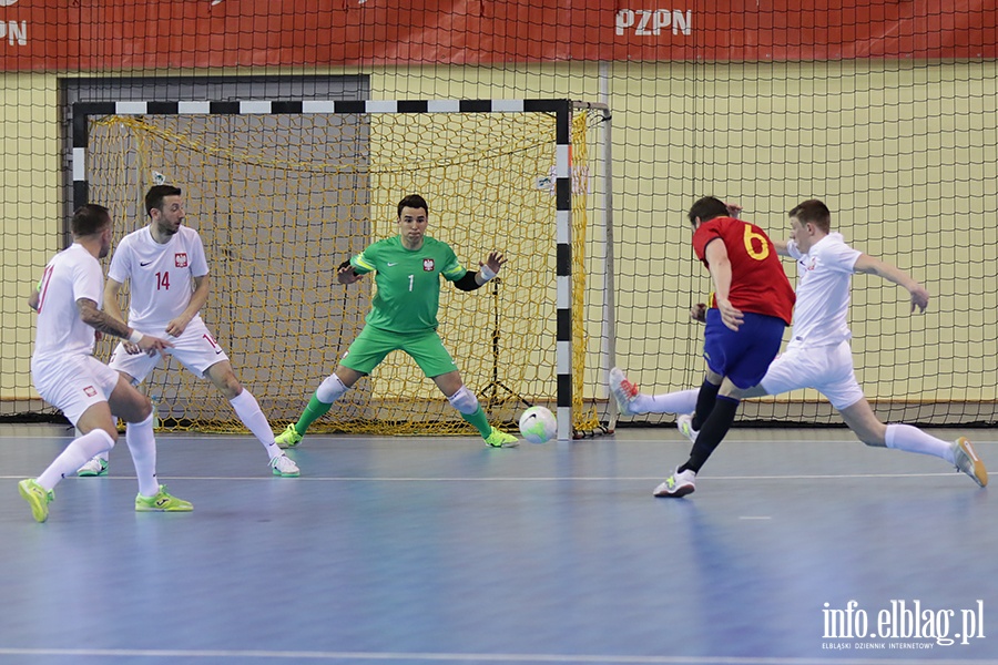 Futsal mecz Polska- Hiszpania i Serbia-Moldawia, fot. 76