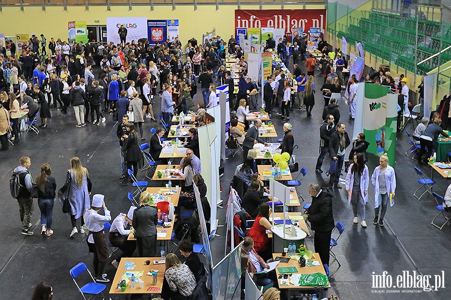 Targi Pracy i Edukacji, fot. 108