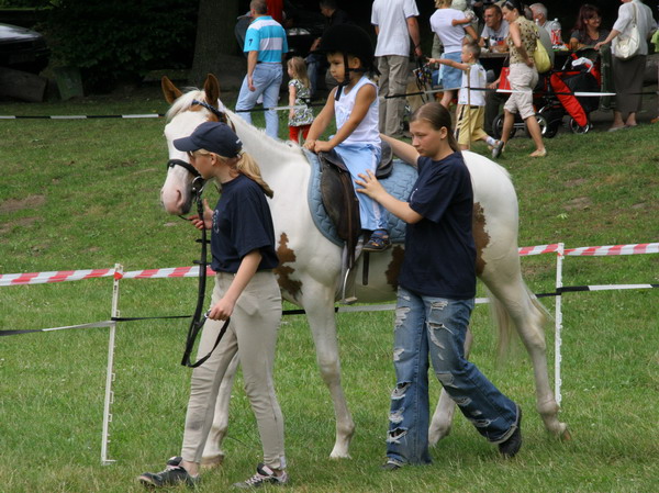 Obchody Dni Elblga 2008 - trzeci dzie, fot. 88