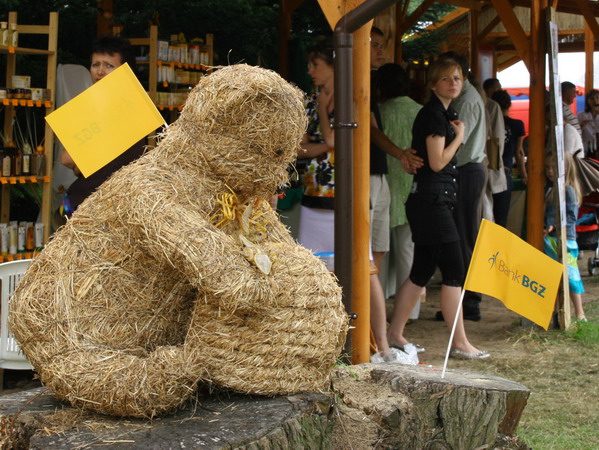 VI Targi Pszczelarskie w Karczowiskach, fot. 30