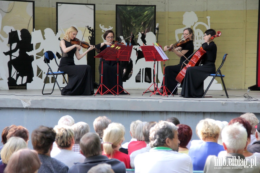 Drugi koncert XX Letniego Salonu Muzycznego Baantarnia 2017, fot. 9