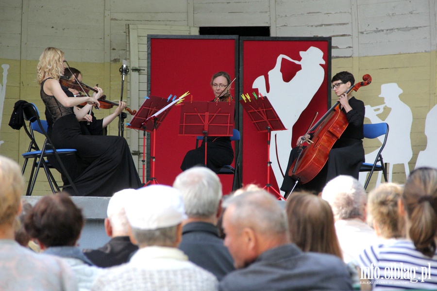 Drugi koncert XX Letniego Salonu Muzycznego Baantarnia 2017, fot. 24