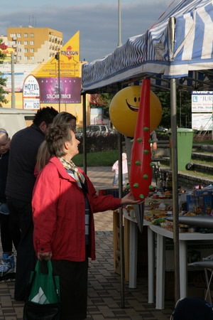 Festyn z okazji VII Dnia Solidarnoci z Osobami Choruj, fot. 18