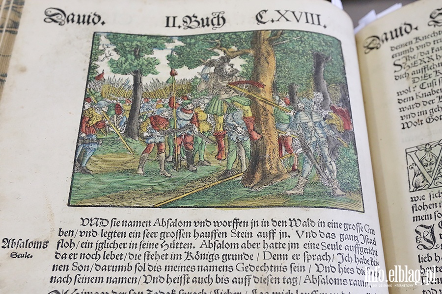 Spacer ladami Reformacji w Elblgu., fot. 17