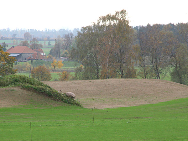 Otwarcie Akademii Golfa Sand Valley Golf & Country Club, fot. 9