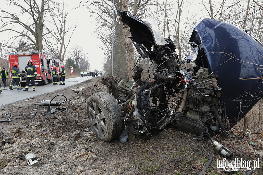 Dbrowa Kolonia Audi uderzy w drzewo, fot. 11