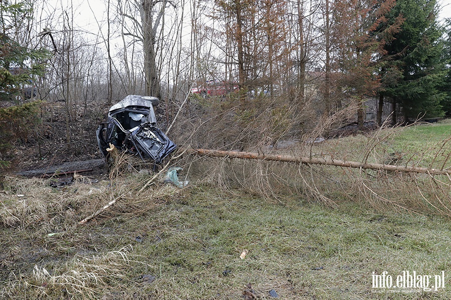 Dbrowa Kolonia Audi uderzy w drzewo, fot. 14