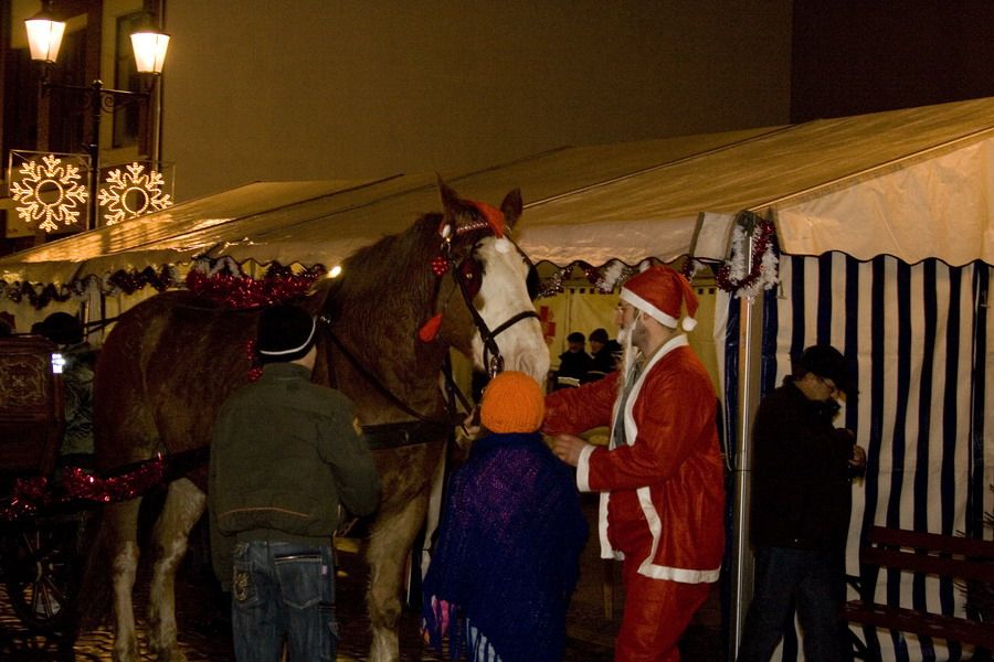 Wigilijne Spotkania elblan na Starwce - 2008r., fot. 33