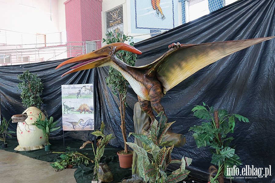 Dino Expo & Show, fot. 14