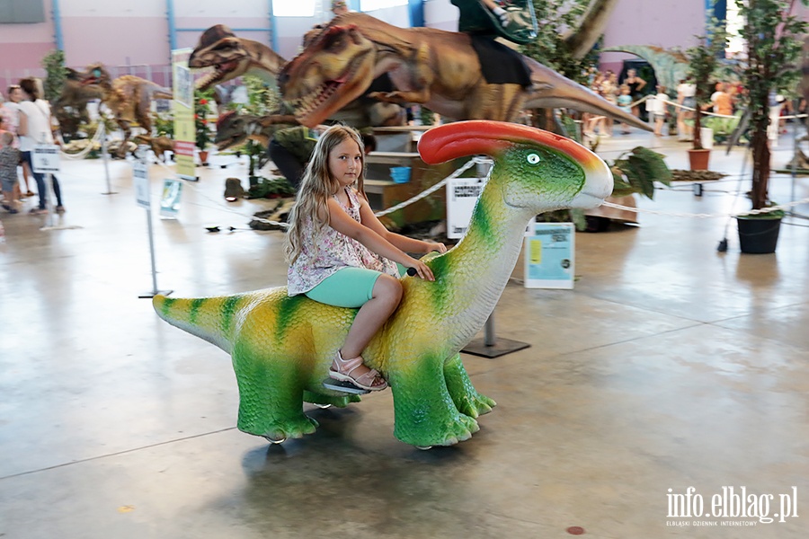 Dino Expo & Show, fot. 15