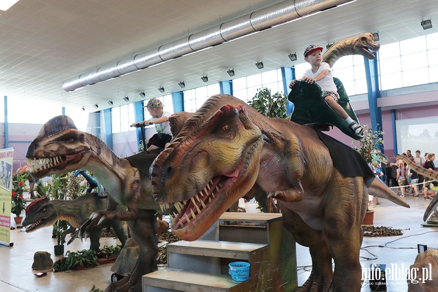 Dino Expo & Show, fot. 16