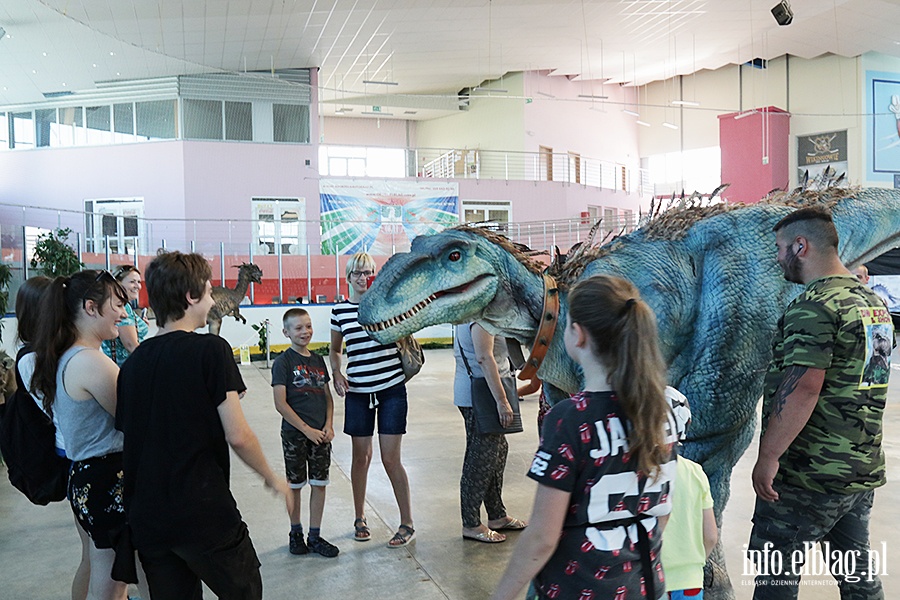 Dino Expo & Show, fot. 18