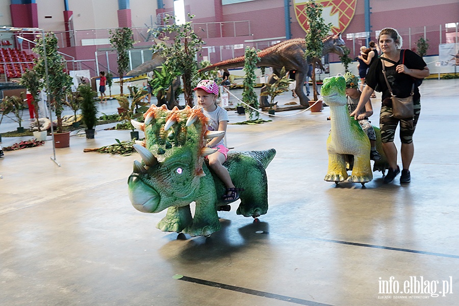 Dino Expo & Show, fot. 19