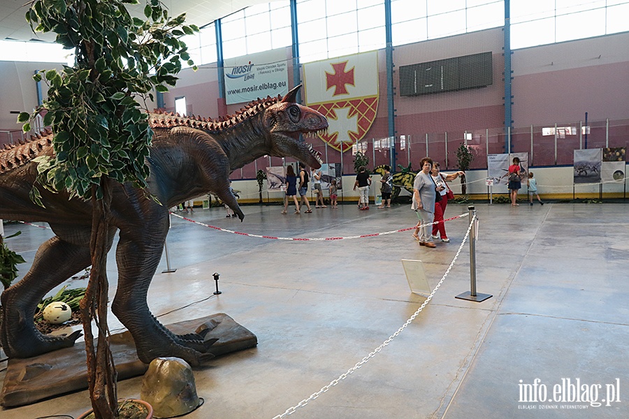 Dino Expo & Show, fot. 23