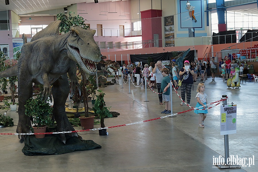 Dino Expo & Show, fot. 28