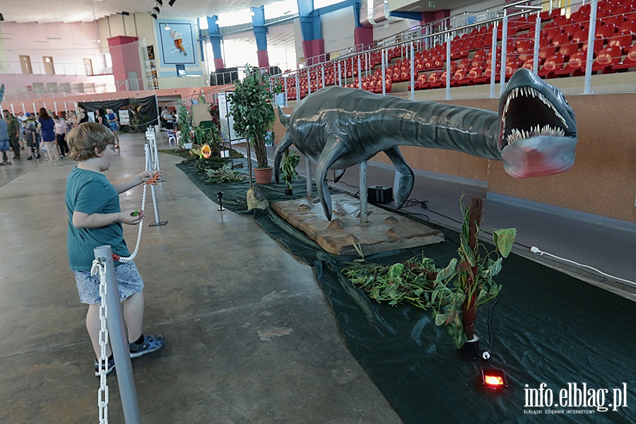 Dino Expo & Show, fot. 30