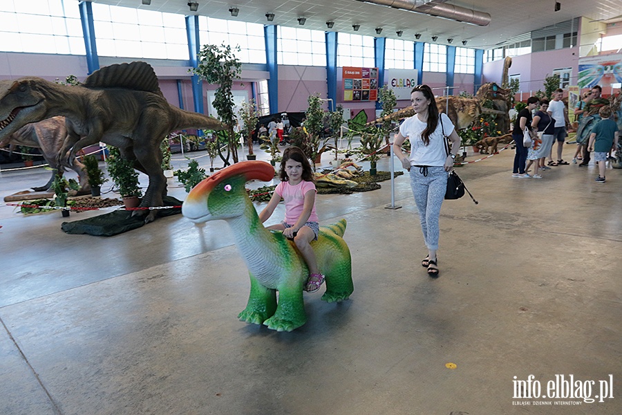 Dino Expo & Show, fot. 31