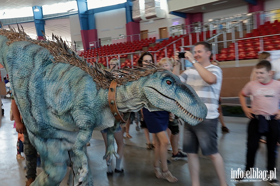 Dino Expo & Show, fot. 35