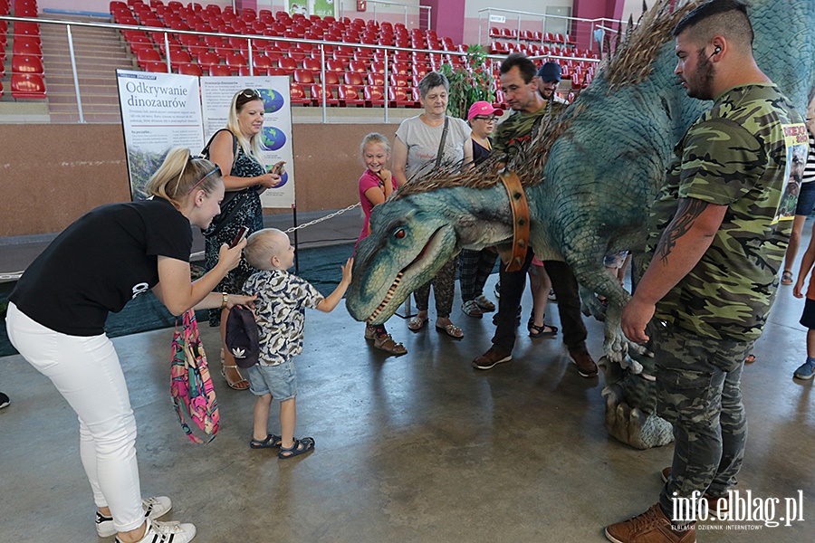 Dino Expo & Show, fot. 37