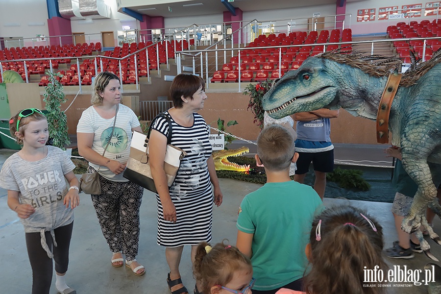 Dino Expo & Show, fot. 39