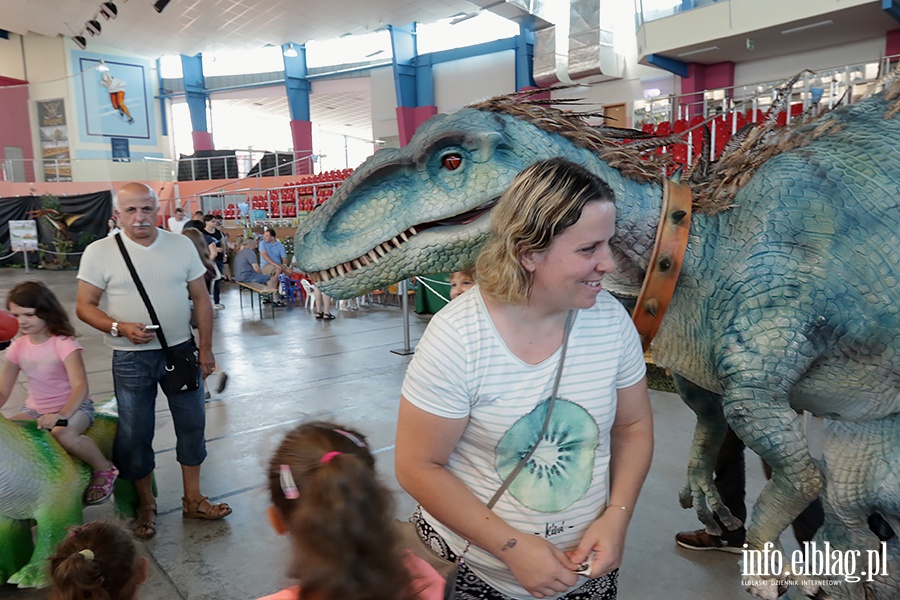 Dino Expo & Show, fot. 40