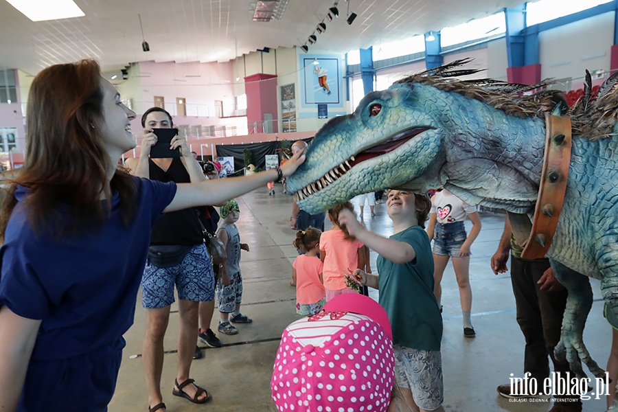 Dino Expo & Show, fot. 41