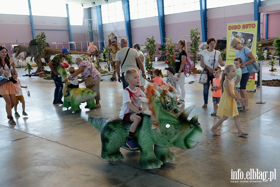 Dino Expo & Show, fot. 49