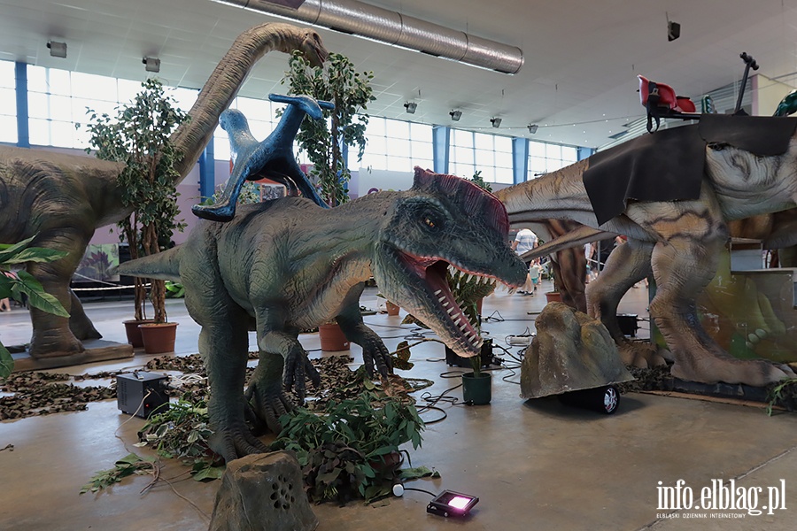 Dino Expo & Show, fot. 50