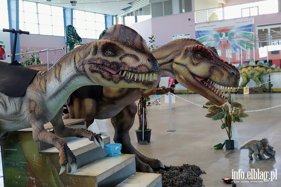 Dino Expo & Show, fot. 51