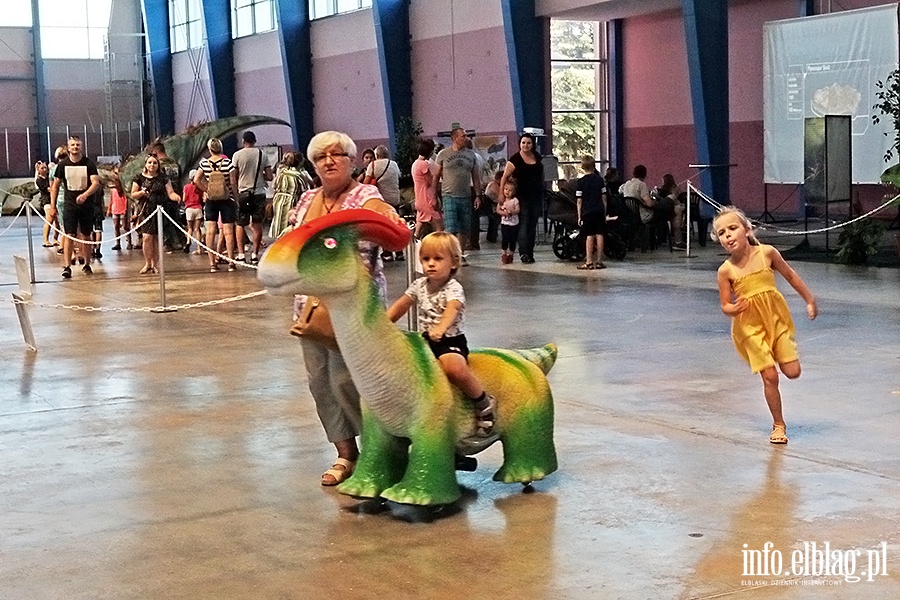 Dino Expo & Show, fot. 56