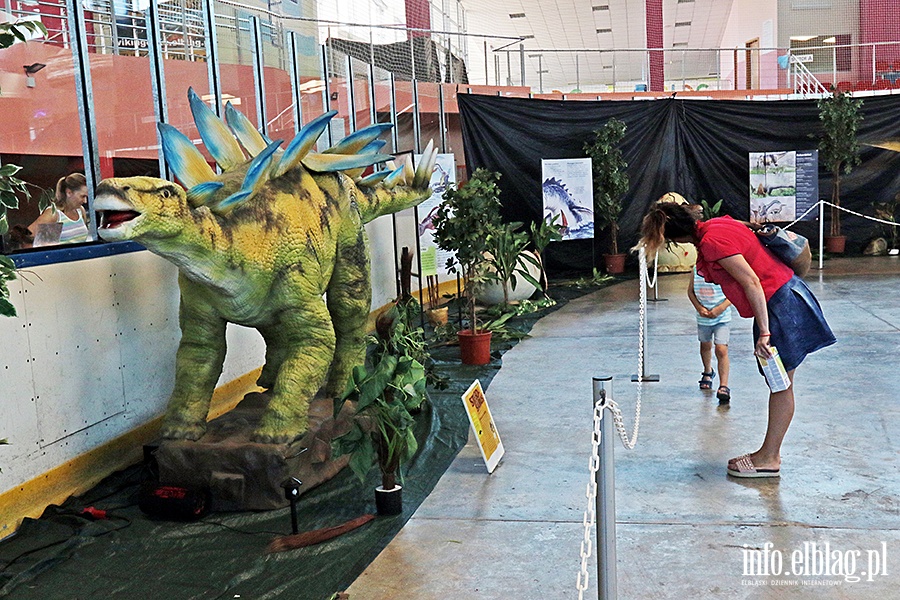 Dino Expo & Show, fot. 57