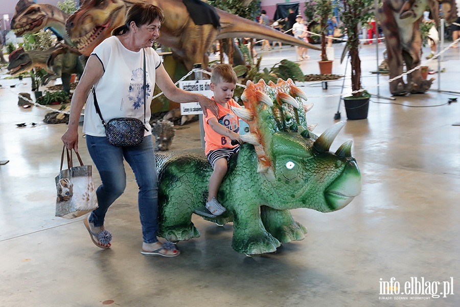 Dino Expo & Show, fot. 62