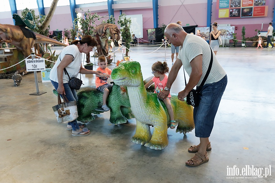 Dino Expo & Show, fot. 63