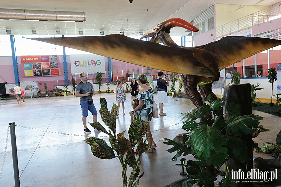 Dino Expo & Show, fot. 64