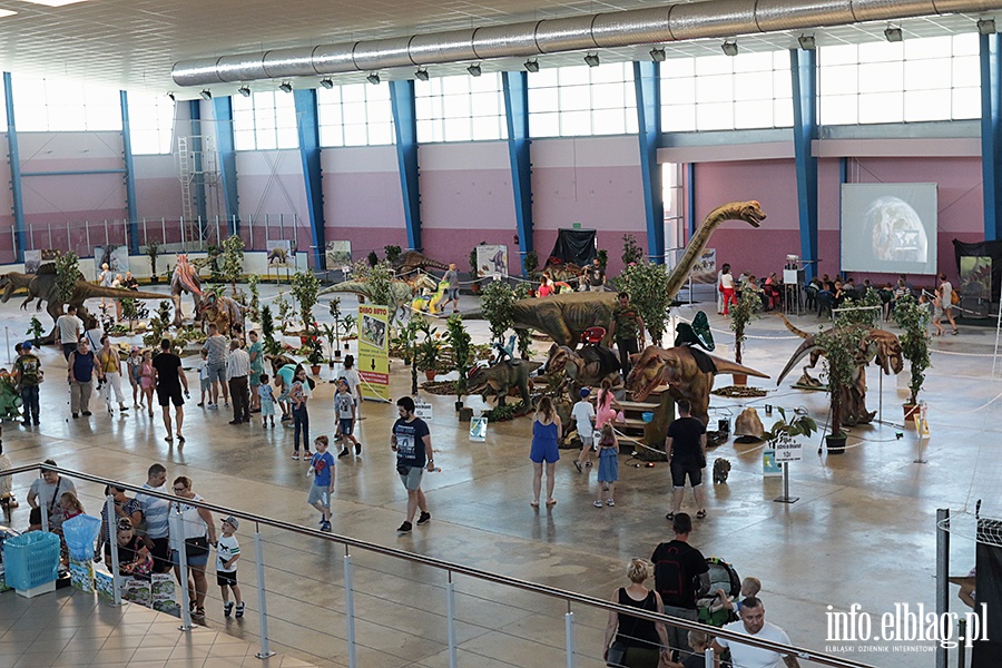 Dino Expo & Show, fot. 67