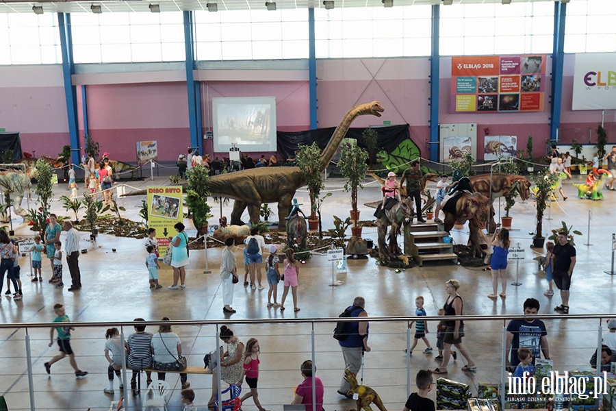 Dino Expo & Show, fot. 68