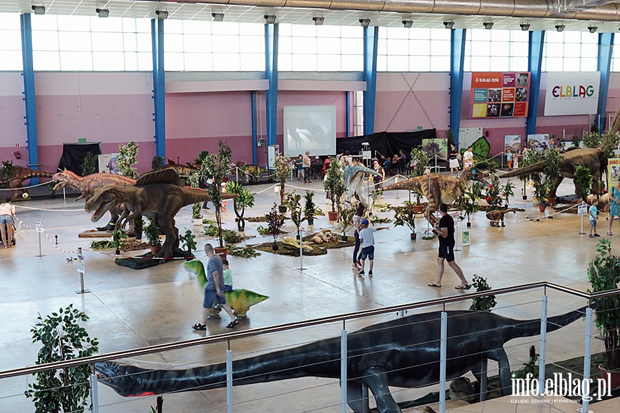 Dino Expo & Show, fot. 69