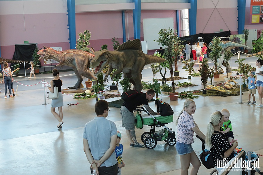 Dino Expo & Show, fot. 74