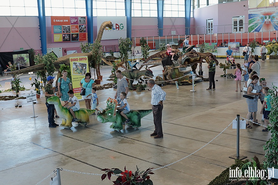 Dino Expo & Show, fot. 75