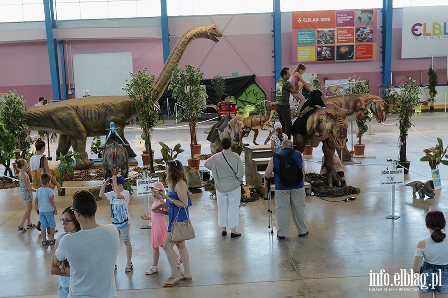 Dino Expo & Show, fot. 77