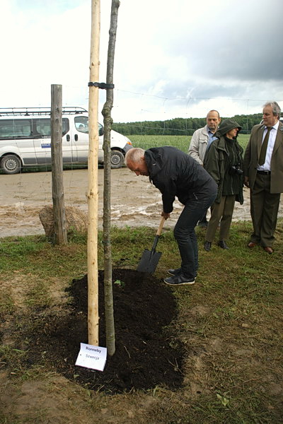 Zasadzenie dbw przyjani i odsonicie kamienia pamitkowego na Modrzewinie, fot. 15