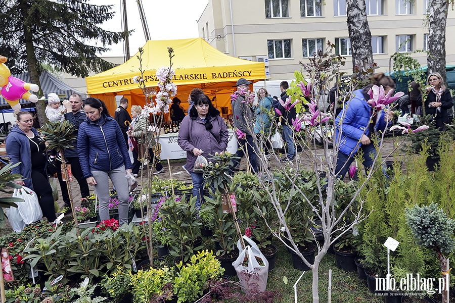 Stare Pole targi, fot. 105