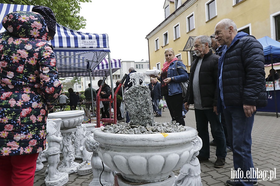 Stare Pole targi, fot. 169