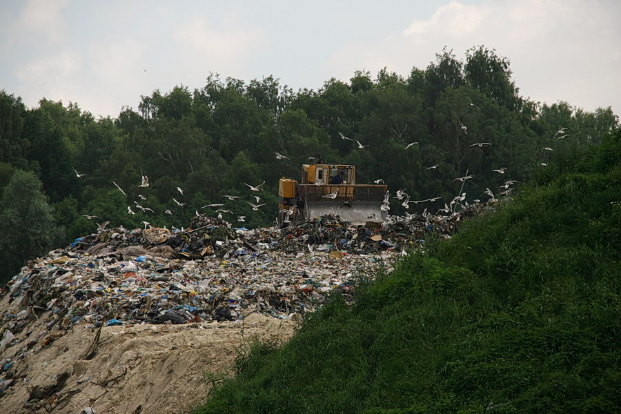 Zakad Utylizacji Odpadw w Elblgu - skadowisko w Rubnie, fot. 17