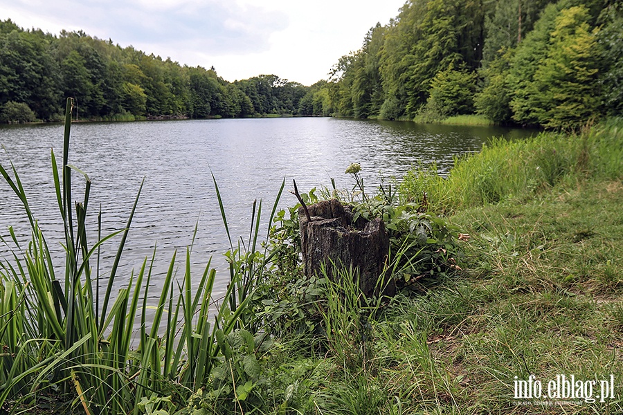 Jelenia Dolina, fot. 2