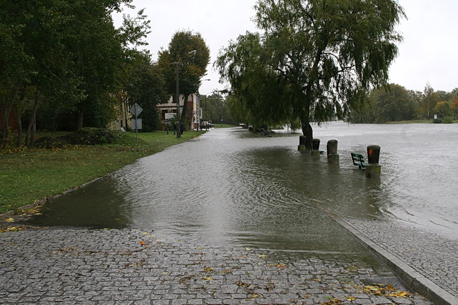 Podtopienia spowodowane cofk do rzeki Elblg, fot. 6