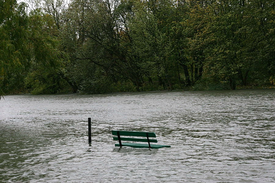 Podtopienia spowodowane cofk do rzeki Elblg, fot. 15