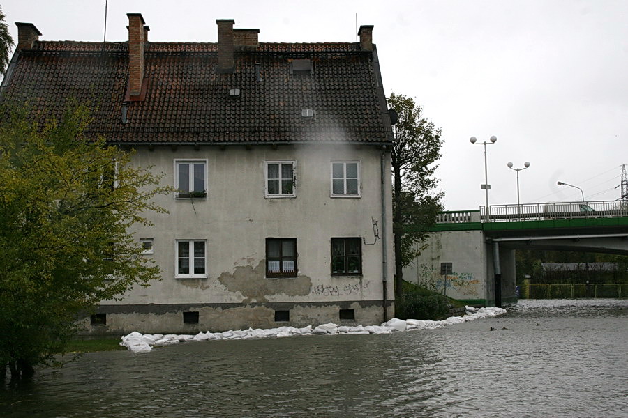 Podtopienia spowodowane cofk do rzeki Elblg, fot. 24